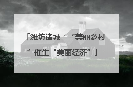 潍坊诸城：“美丽乡村”催生“美丽经济”