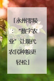 永州零陵：“数字农业”让现代农民种粮更轻松