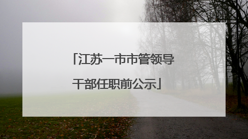 江苏一市市管领导干部任职前公示