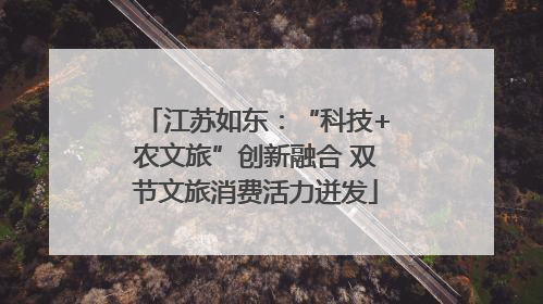 江苏如东：“科技+农文旅”创新融合 双节文旅消费活力迸发