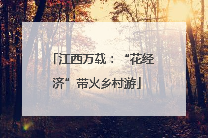 江西万载：“花经济”带火乡村游
