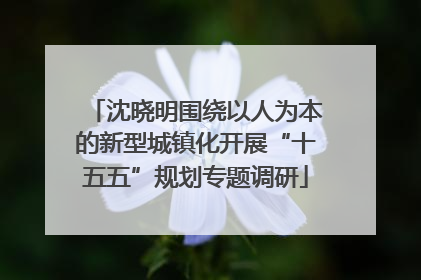 沈晓明围绕以人为本的新型城镇化开展“十五五”规划专题调研