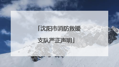 沈阳市消防救援支队严正声明