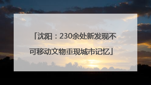 沈阳：230余处新发现不可移动文物重现城市记忆