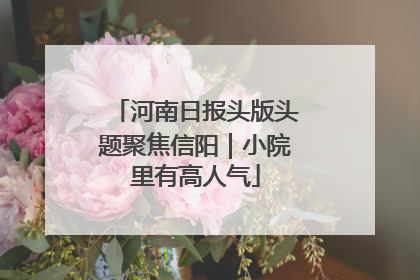 河南日报头版头题聚焦信阳｜小院里有高人气