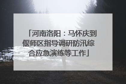 河南洛阳：马怀庆到偃师区指导调研防汛综合应急演练等工作