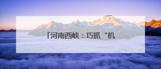 河南西峡：巧抓“机”遇 林下生“金”