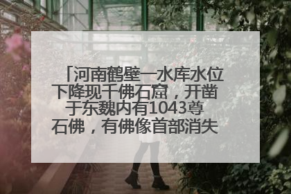 河南鹤壁一水库水位下降现千佛石窟，开凿于东魏内有1043尊石佛，有佛像首部消失，水库管理方回应