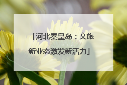河北秦皇岛：文旅新业态激发新活力
