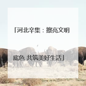 河北辛集：擦亮文明底色 共筑美好生活