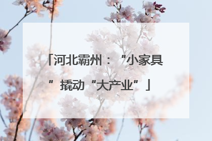 河北霸州：“小家具”撬动“大产业”