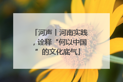 河声丨河南实践，诠释“何以中国”的文化底气