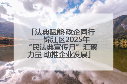 法典赋能·政企同行——锦江区2025年“民法典宣传月”汇聚力量 助推企业发展