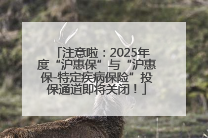 注意啦：2025年度“沪惠保”与“沪惠保-特定疾病保险”投保通道即将关闭！