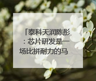 泰科天润陈彤：芯片研发是一场比拼耐力的马拉松｜湘商，向上⑤
