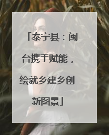 泰宁县：闽台携手赋能，绘就乡建乡创新图景