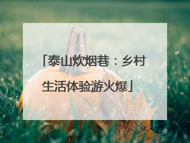 泰山炊烟巷：乡村生活体验游火爆