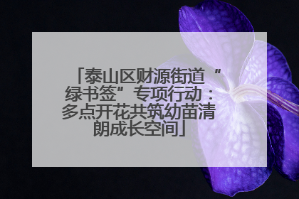 泰山区财源街道“绿书签”专项行动：多点开花共筑幼苗清朗成长空间