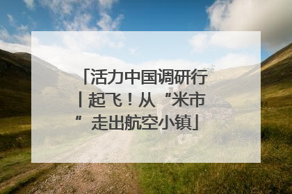活力中国调研行丨起飞！从“米市”走出航空小镇