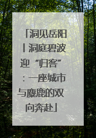 洞见岳阳丨洞庭碧波迎“归客”：一座城市与麋鹿的双向奔赴