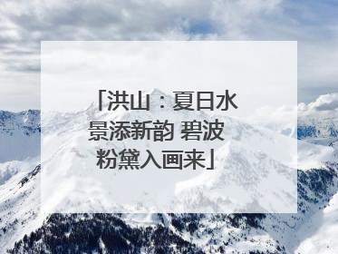 洪山：夏日水景添新韵 碧波粉黛入画来