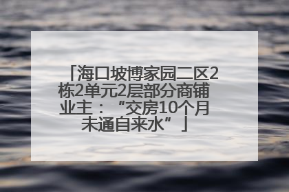 海口坡博家园二区2栋2单元2层部分商铺业主：“交房10个月未通自来水”