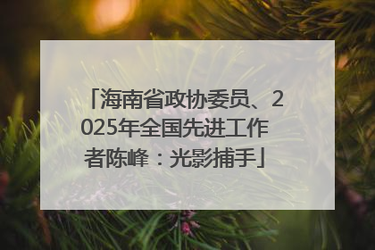 海南省政协委员、2025年全国先进工作者陈峰：光影捕手
