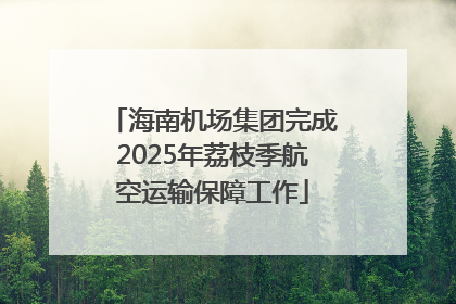 海南机场集团完成2025年荔枝季航空运输保障工作