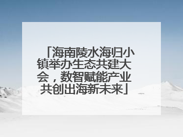 海南陵水海归小镇举办生态共建大会，数智赋能产业共创出海新未来