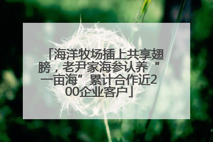 海洋牧场插上共享翅膀，老尹家海参认养“一亩海”累计合作近200企业客户
