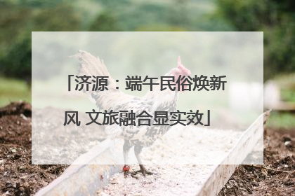 济源：端午民俗焕新风 文旅融合显实效
