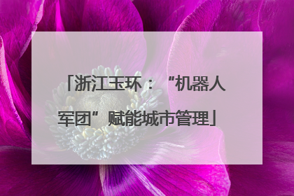 浙江玉环：“机器人军团”赋能城市管理