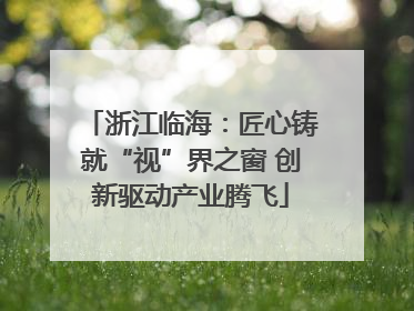 浙江临海：匠心铸就“视”界之窗 创新驱动产业腾飞