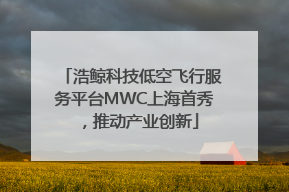 浩鲸科技低空飞行服务平台MWC上海首秀，推动产业创新