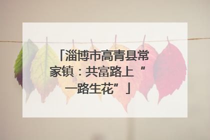 淄博市高青县常家镇：共富路上“一路生花”
