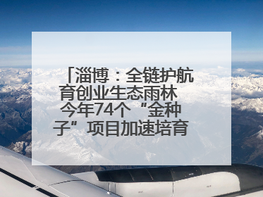 淄博：全链护航育创业生态雨林 今年74个“金种子”项目加速培育 政策性扶持创业9754人