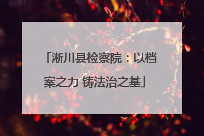 淅川县检察院：以档案之力 铸法治之基