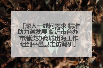 深入一线问需求 精准助力谋发展 临沂市台办 市港澳办商城出海工作组到平邑县走访调研