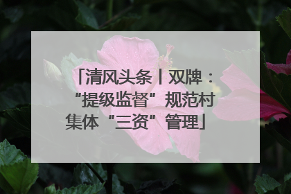 清风头条丨双牌：“提级监督”规范村集体“三资”管理
