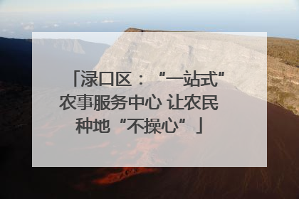 渌口区：“一站式”农事服务中心 让农民种地“不操心”