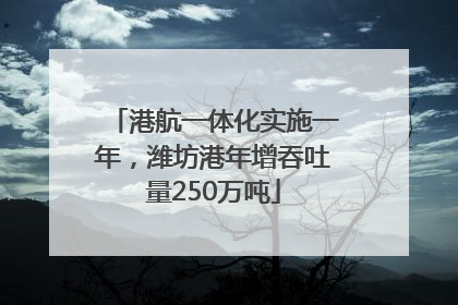 港航一体化实施一年，潍坊港年增吞吐量250万吨