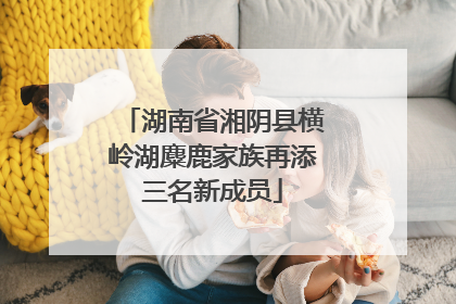 湖南省湘阴县横岭湖麋鹿家族再添三名新成员