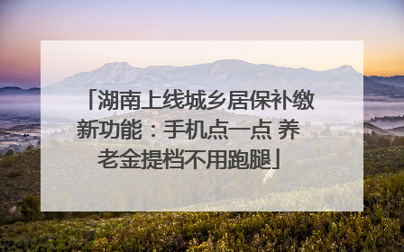 湖南上线城乡居保补缴新功能：手机点一点 养老金提档不用跑腿