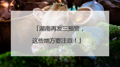 湖南再发三预警，这些地方要注意！