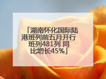 湖南怀化国际陆港班列前五月开行班列481列 同比增长45%