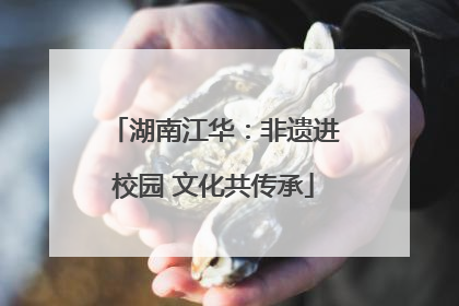 湖南江华：非遗进校园 文化共传承