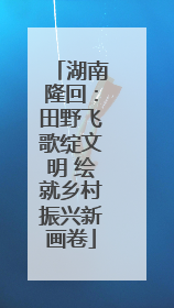 湖南隆回：田野飞歌绽文明 绘就乡村振兴新画卷