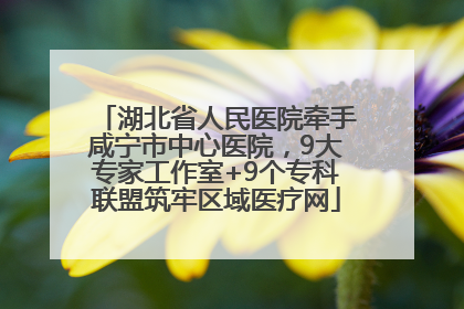 湖北省人民医院牵手咸宁市中心医院，9大专家工作室+9个专科联盟筑牢区域医疗网