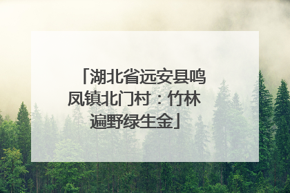 湖北省远安县鸣凤镇北门村：竹林遍野绿生金