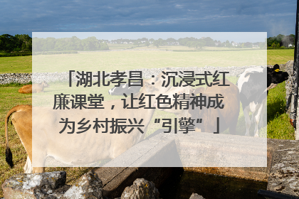 湖北孝昌：沉浸式红廉课堂，让红色精神成为乡村振兴“引擎”